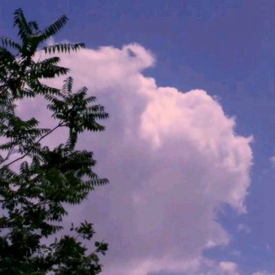 域网棋牌游戏app下载